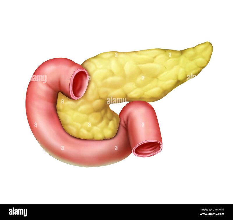 Learn about Lokomotivi TbilisiGeorgia Learn about Lokomotivi TbilisiGeorgia